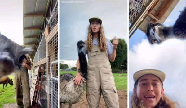 Video Bombing Emu Wins the Internet