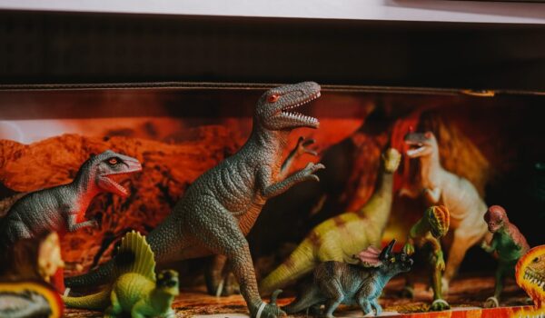 Kids Who Are Interested With Dinosaurs Have Higher Intelligence