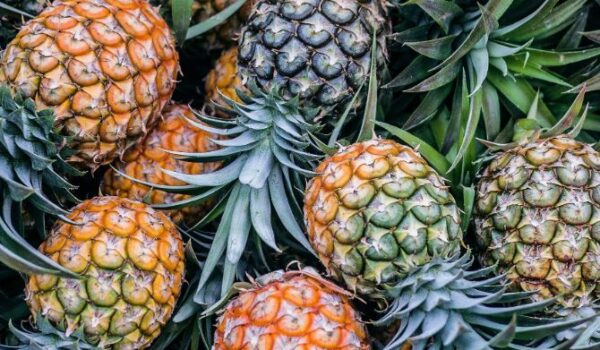 In the 1700s a Pineapple Would’ve Cost $17,842 (FJD)
