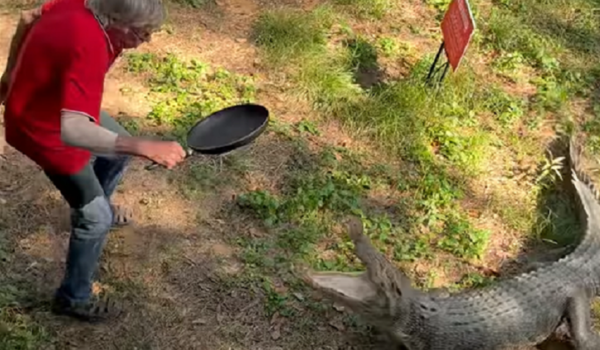 This Grandpa Protected His Family From A Crocodile Using A Frying Pan